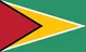 Bandera de Guyana